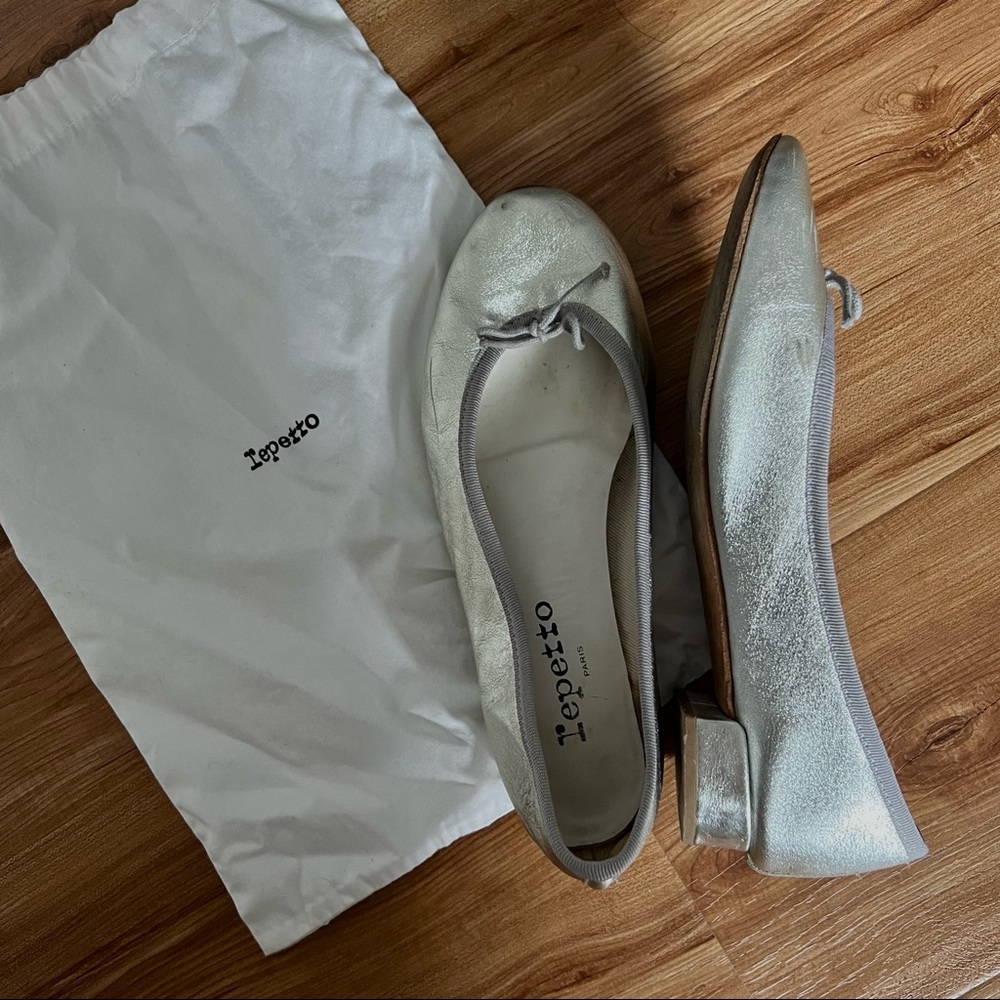 Repetto Ballet Flats / Pumps